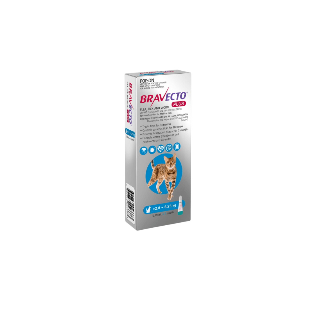Bravecto Gato Plus 2.8-6.25Kg