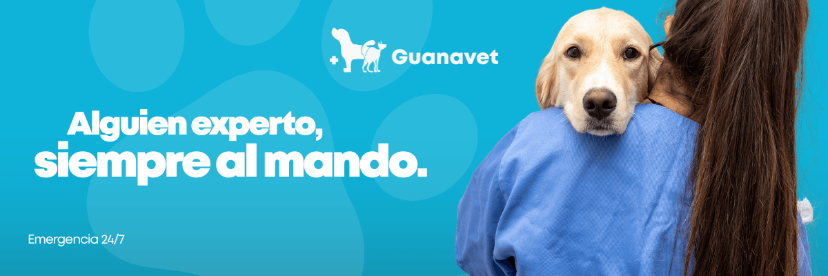 Servicio de 24_7