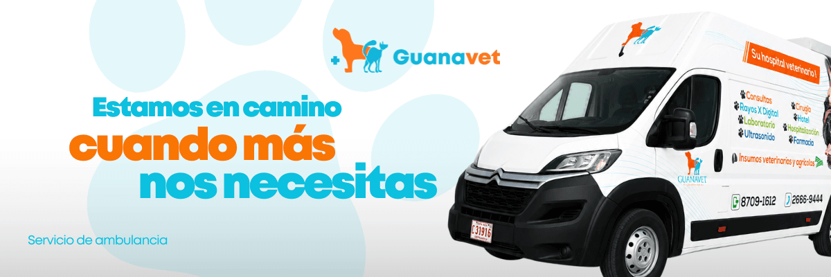 Servicio de Ambulancia