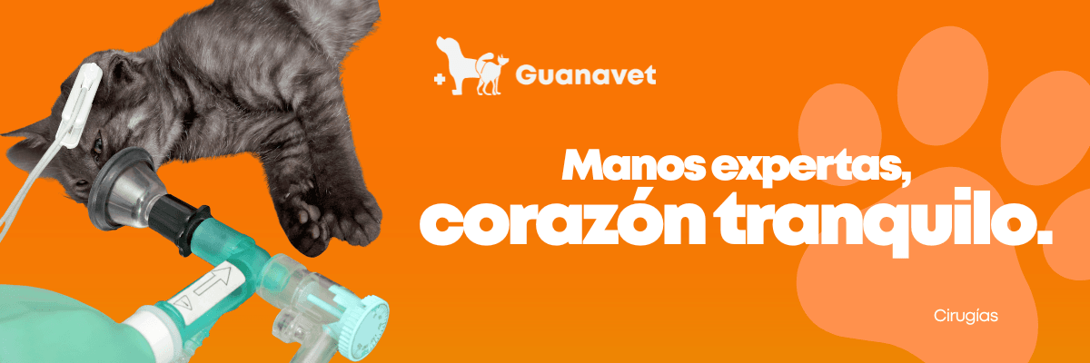 Servicio de Emergencia