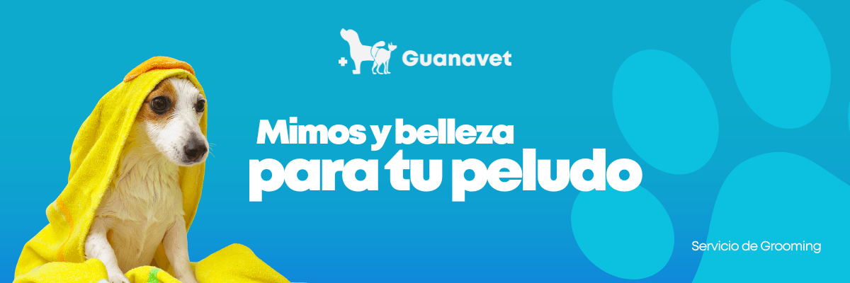 Servicio de Grooming