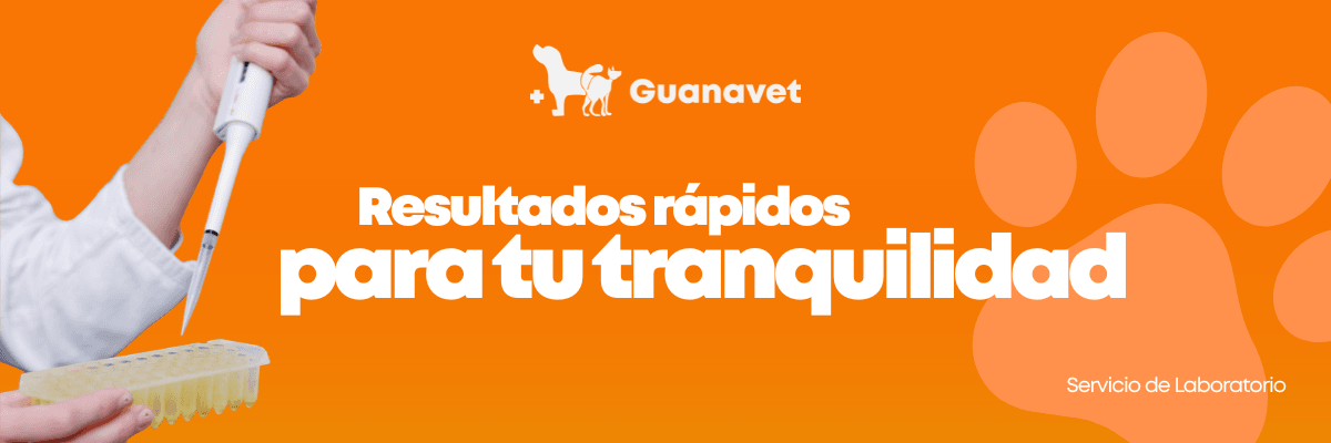 Servicio de Laboratorio